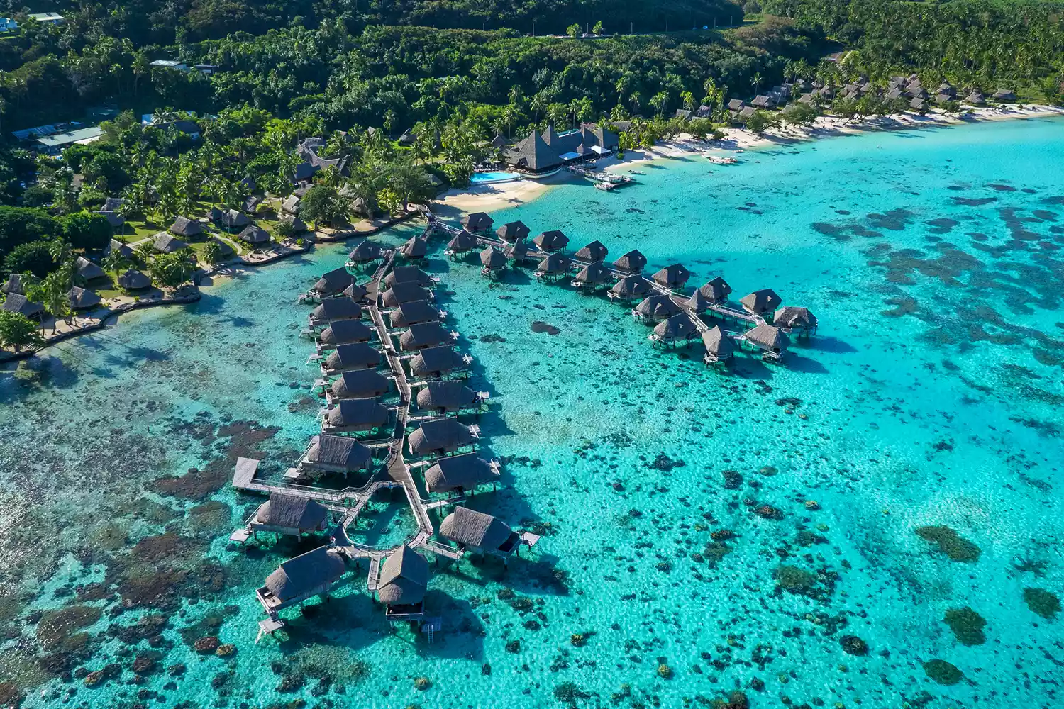 These Gorgeous Overwater Bungalows in French Polynesia Have Glass Floors and Private Access to a Crystal-clear Lagoon