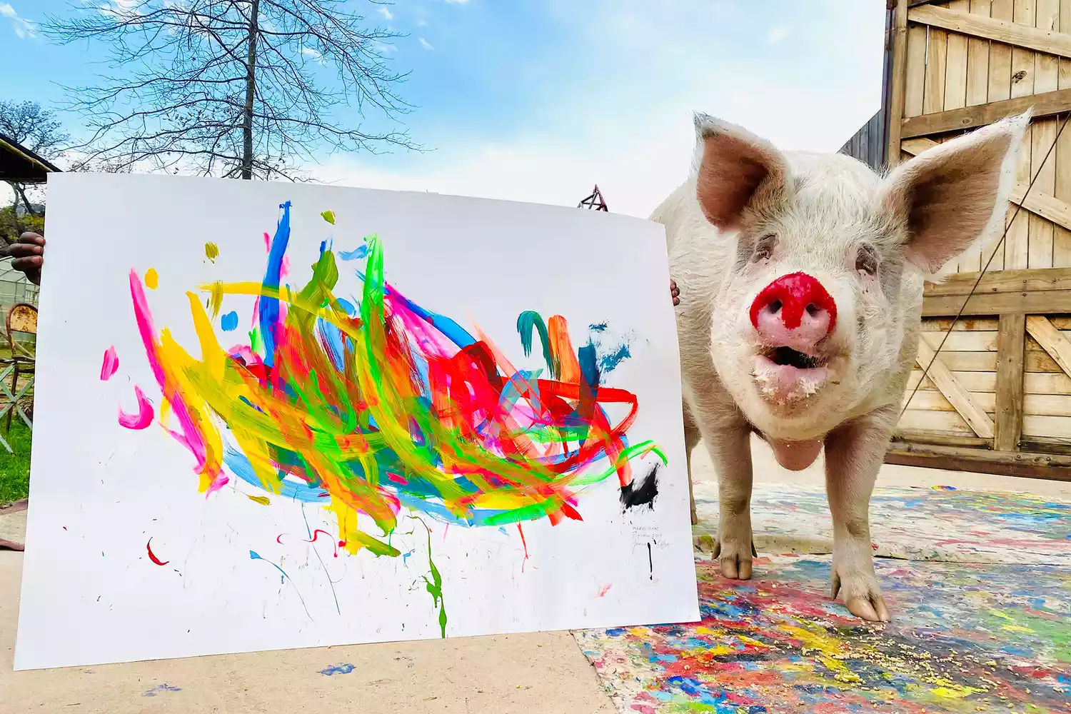 This Farm Animal Sanctuary Is Also a Hotel — and Its Resident Pig Is a World-famous Artist