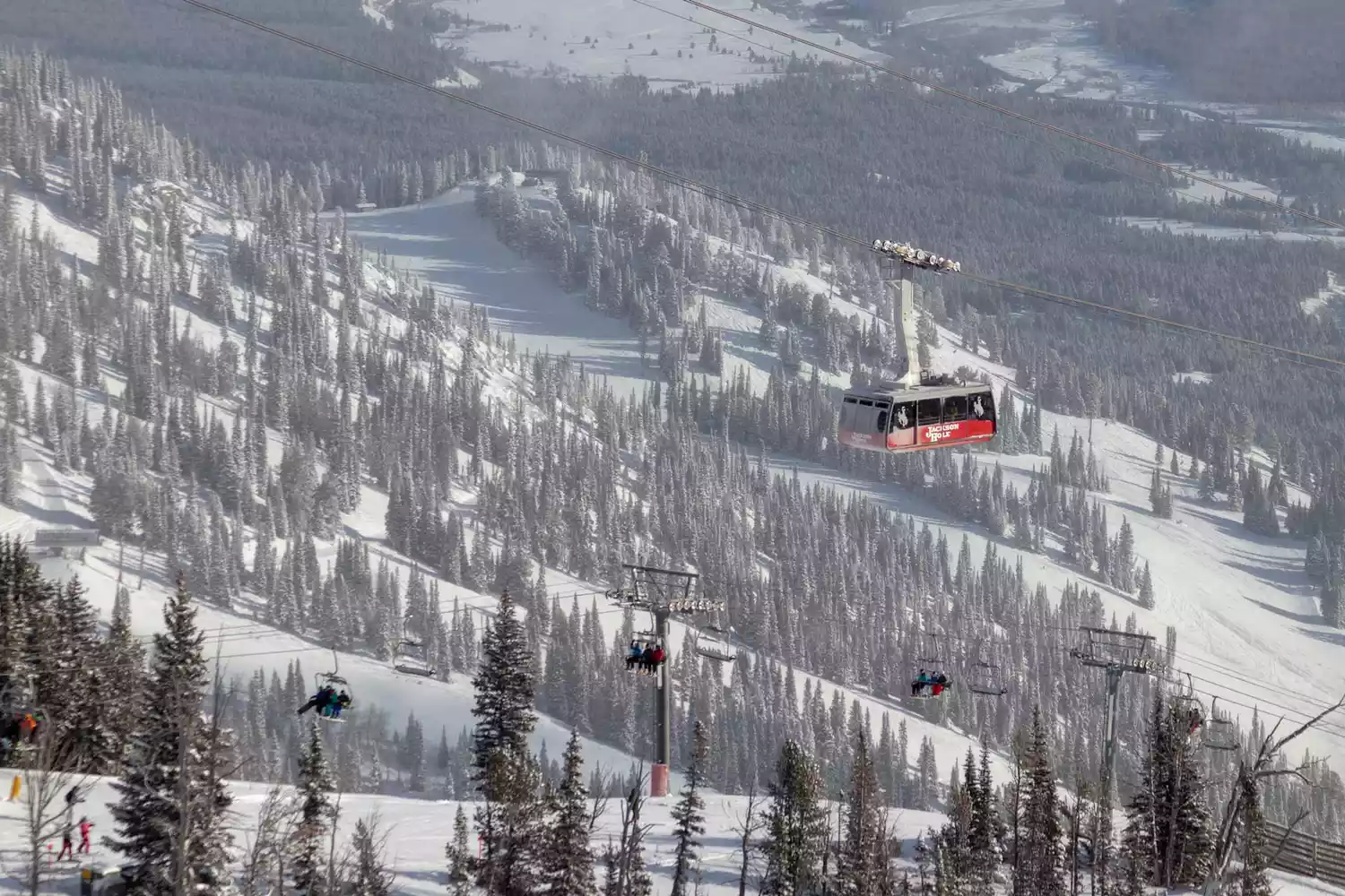 Jackson Hole Mountain Resort Is Home to One of the Steepest Ski Runs in North America — but It’s Still a Beginner’s Paradise