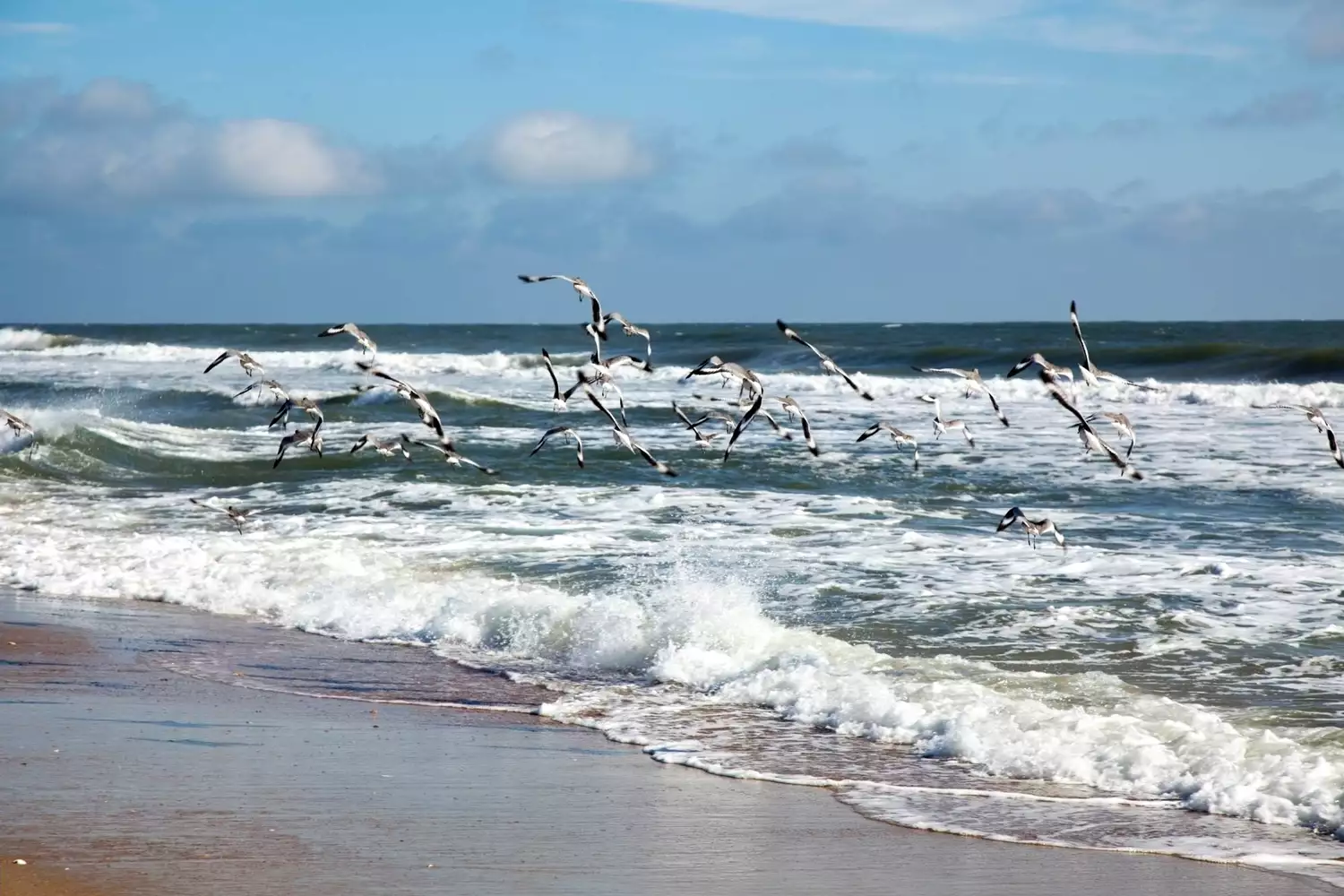 This North Carolina Island Is One of the Best Places to Buy a Beach House in the U.S. — Homeowners Make an Average of $60K in Rental Income Each Year