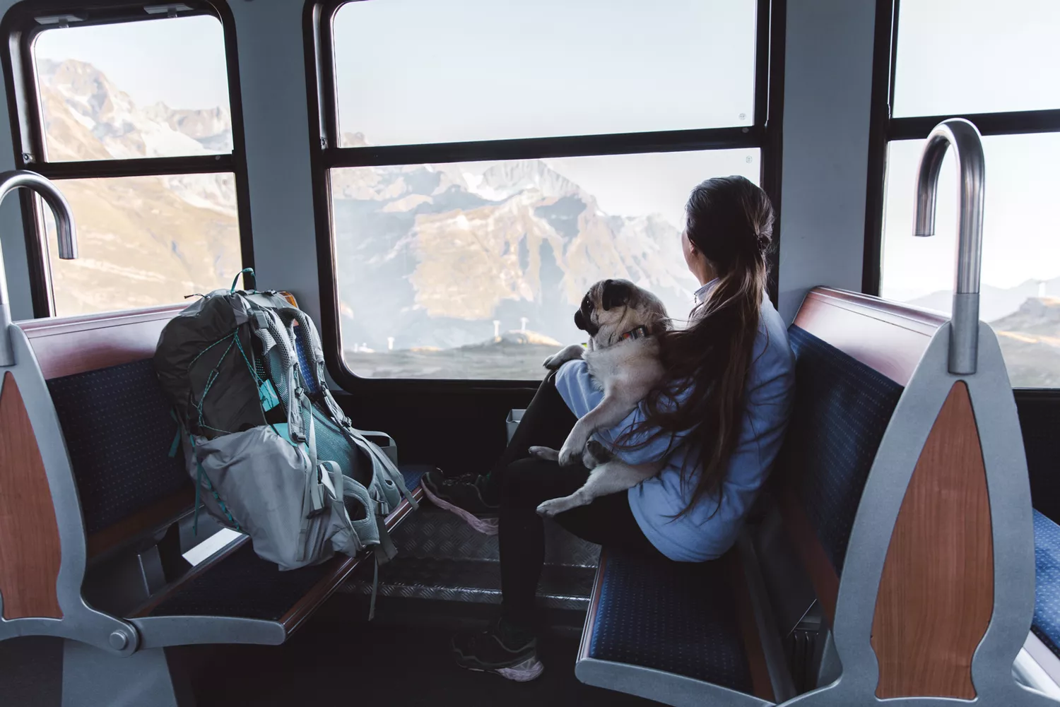 Traveling With Pets: Your Guide to Flying or Driving With a Furry Friend